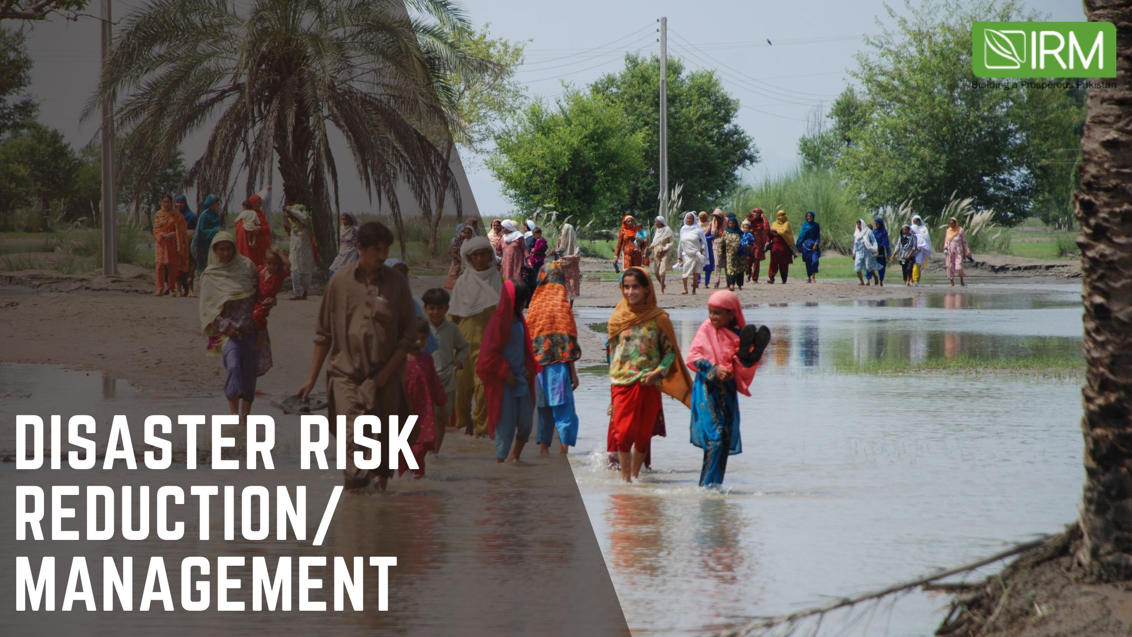 Disaster Risk Reduction/Management